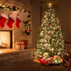 Have you bought a Christmas tree yet?