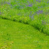 No-mow May