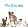 Pet Blessing