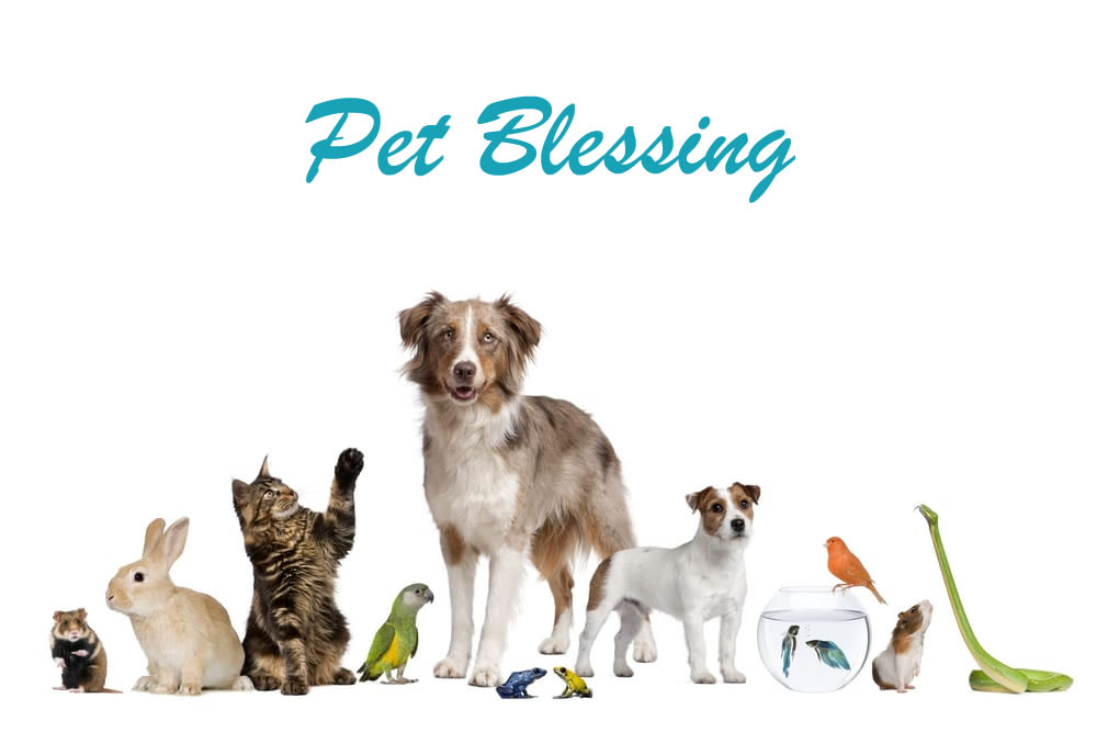 Pet Blessing